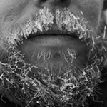 Profile Picture of Brian Campeau (@yodelingfordays) on Instagram