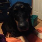 Profile Picture of Gary Andrew Rutter (@greatgrandma10182) on Instagram