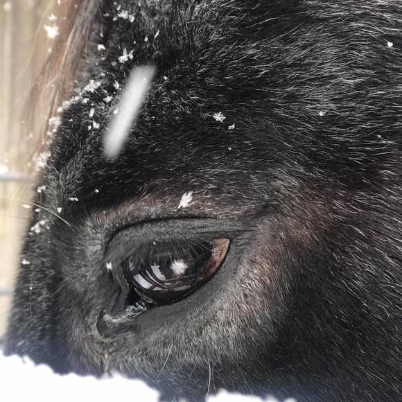 Profile Picture of Loria Bentley (@loriabentley) on Poshmark