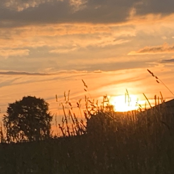 Profile Picture of Cassie Collister (@cassiecollister) on Poshmark