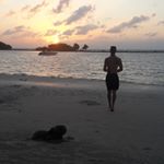 Profile Picture of Scott Briggs (@scott_briggs02) on Instagram