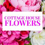 Profile Picture of Laura Robbins (@cottagehouseflowers) on Instagram