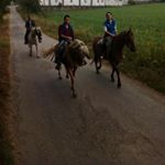 Profile Picture of Adrian Pico (@picogarcia24) on Instagram