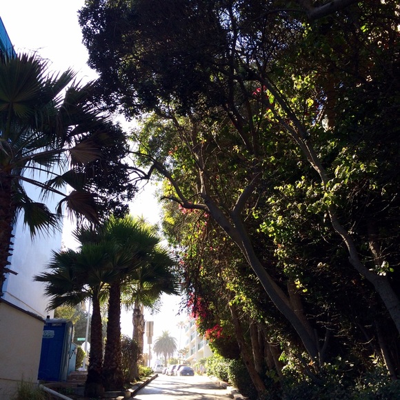 Profile Picture of Raeann Adams (@raeannadamss) on Poshmark