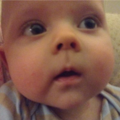 Profile Picture of Matthew Bogle (@matthew_bogle) on Twitter