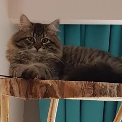 Jeremy Parmentier - Tiktok Profile Picture of Jeremy Parmentier (@jeremy.parmentier) on Tiktok