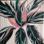 Profile Picture of Kaitlyn Curran (@acuarela_89) on Instagram