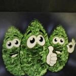 Jason Lewandowski - Instagram Profile Picture of Jason Lewandowski (@sikwidit_1_jaylewski) on Instagram