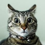 Profile Picture of Dmitriy Kuznetsov (@dmitriykuznetsov4640) on Youtube