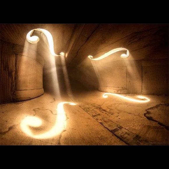 Profile Picture of Chris Avison (@cavison) on Poshmark