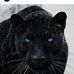 Profile Picture of Jorge Werbach (@jorge.werbach.18) on Facebook