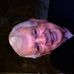 Profile Picture of Gary Harger (@gary.harger.7) on Facebook