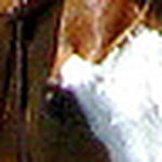 Profile Picture of Kim Van Buskirk (@kim.vanbuskirk) on Flickr