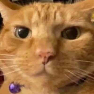 Profile Picture of Seth Hendrickson (@SethHendrickson) on Twitter