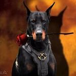 Profile Picture of Crescent Charles (@crescentcharles) on Instagram