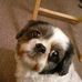 Profile Picture of Carol Atchison (@carol.atchison.5) on Facebook