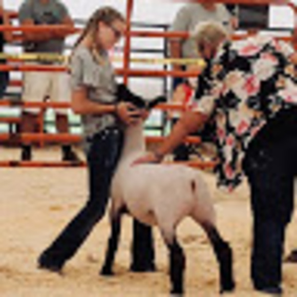 Profile Picture of Julia Haviland (@jhaviland8884) on Poshmark