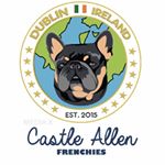 Profile Photo of Castle Allen frenchies 🏰 🤴🏻👸🏼 (@castle_allen_frenchies) on Instagram