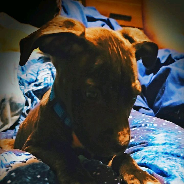 Profile Picture of David Heaman (@david.heaman) on Tiktok