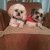 Profile Picture of Cheryl Pryor (@pryor0963) on Pinterest