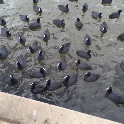 Profile Picture of Trác Hiền Nguyễn (@trac_hien) on Twitter