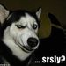 Profile Picture of Joshua Jordaan (@crumpy3407) on Pinterest