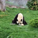 Profile Picture of Stephen Greiff (@stgrff) on Instagram