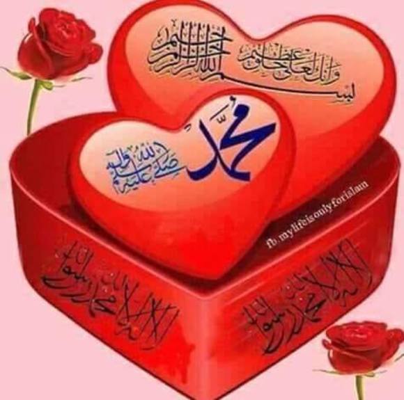 Profile Picture of Sayed anwar Hashemi (@nadiahashemi786) on Poshmark