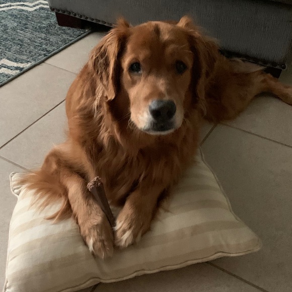 Profile Picture of Chad Harvey (@charv561) on Poshmark