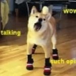 Profile Picture of Марк Котляревский (@mark.kotliarevskii) on Instagram