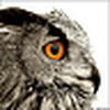 Profile Picture of ddrrnt (@ddrrnt) on Flickr