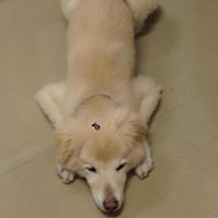 Profile Picture of James Batley (@batley2545) on Pinterest