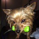Profile Picture of Robert Foltz (@rdfoltz) on Instagram