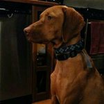 Profile Picture of Scott Perham (@scott.perham.sr) on Instagram