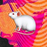 Profile Picture of j o e  s a v a g e (@joe.savage98) on Instagram
