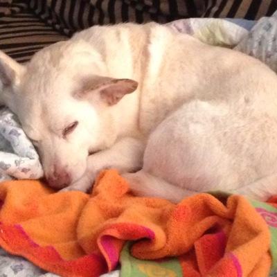Profile Picture of Kevin Tisdale (@katjlr) on Twitter