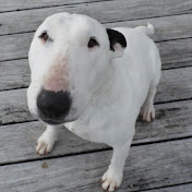 Profile Picture of Marshall Jackson (@marshalljackson760) on Youtube