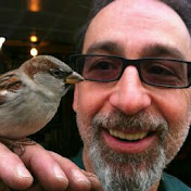 Profile Picture of John Daniele (@johndaniele2022) on Youtube