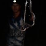 Profile Picture of James John (@james_mobbs) on Instagram