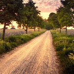 Profile Picture of Israel Aguilar (@israel.aguilar65) on Flickr