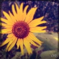 Profile Picture of Crystal Heath-veik (@crystal-heath-veik) on Quora