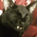 Profile Picture of Seth Coleman (@seth.coleman.739326) on Instagram