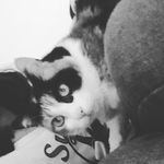 Profile Picture of Alice Gregori (@gregorialice4) on Instagram