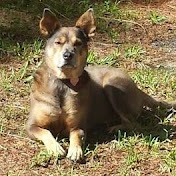 Profile Picture of Michael Mariano (@michaelmariano3023) on Youtube