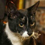 Profile Picture of julian_fiore (@julian_fiore) on Instagram