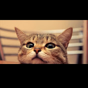 Profile Picture of Fidvi🌸🌸 (@Fidvi14) on Youtube