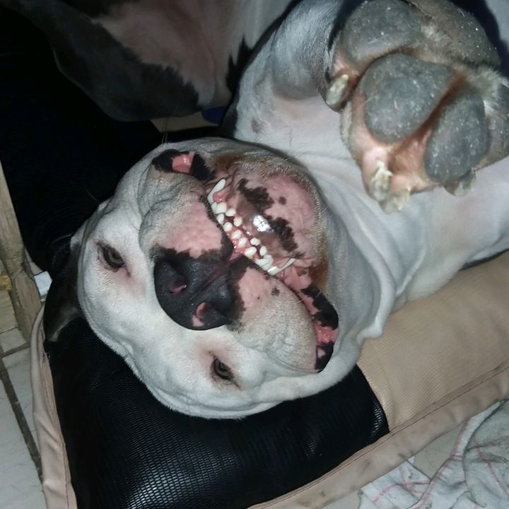 Profile Picture of Michael Bochenek (@michaelbochenek7) on Tiktok