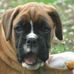 Profile Picture of Wayne Skeen (@wayne.skeen.1) on Facebook