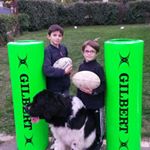 Profile Picture of Eugène Gallo (@eugenegallo) on Instagram