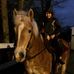 Profile Picture of Dawn Orcutt (@dawn.orcutt.395) on Facebook